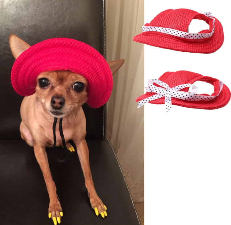 Pet Hat