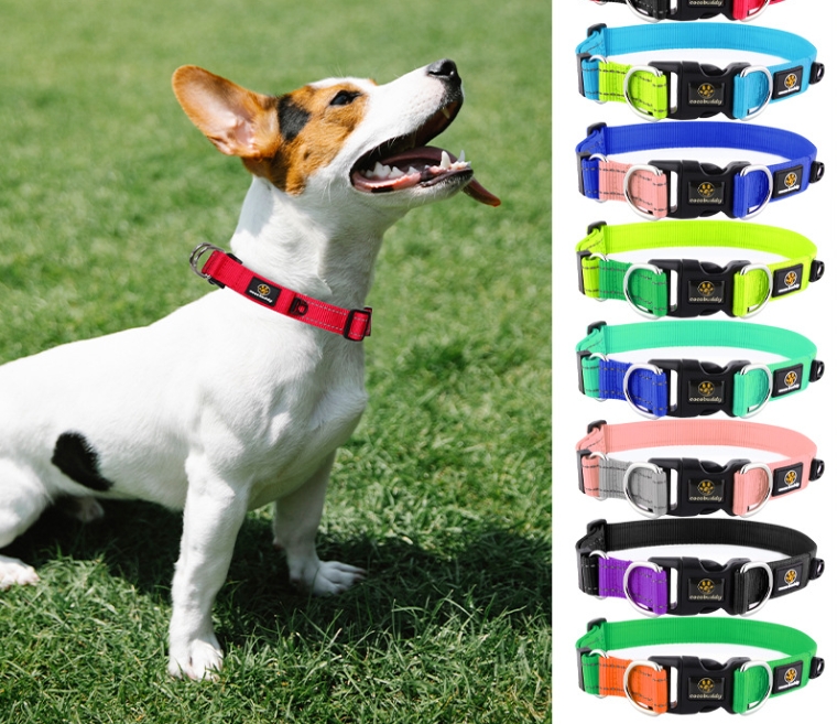 Double buckle pet collar