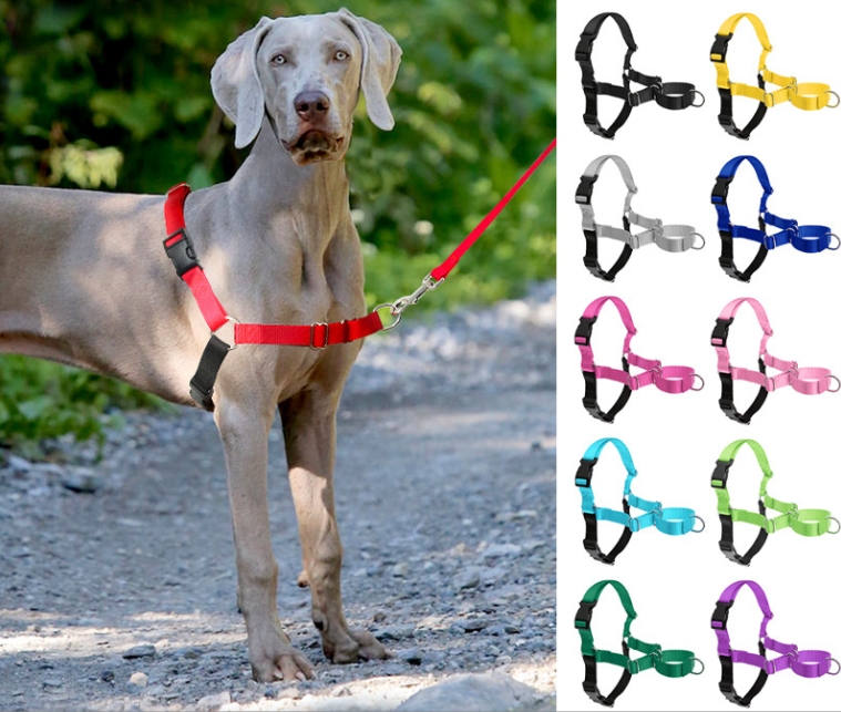 Pet chest strap