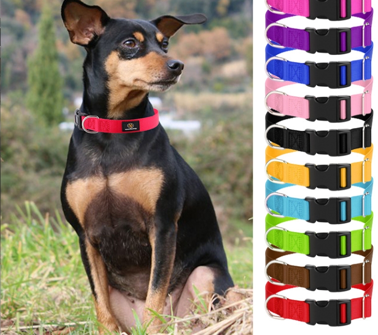Dog collar