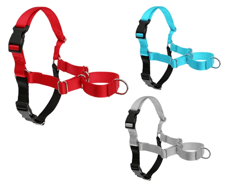 Pet chest strap