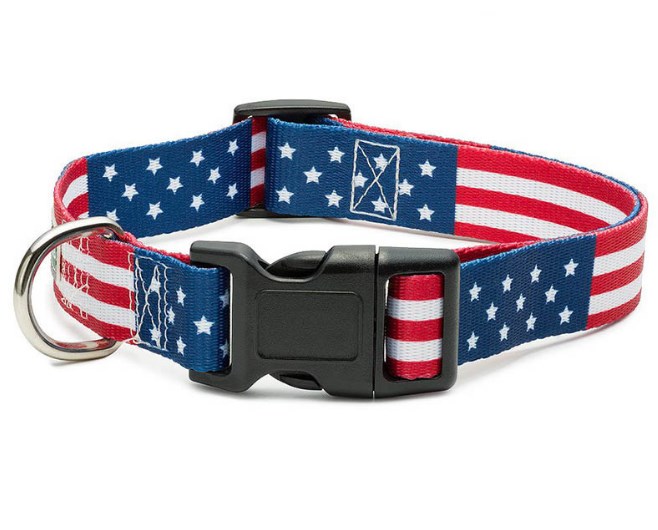 American Flag Dog Collar & Leash Set 