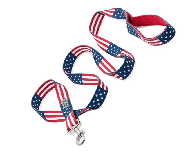 American Flag Dog Collar & Leash Set 