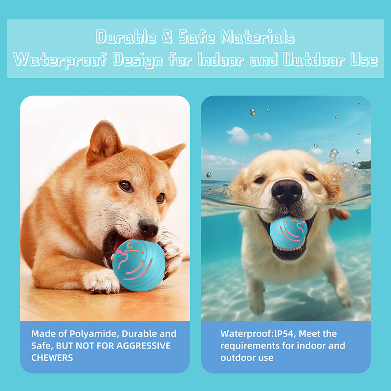 Interactive Dog Ball Toy