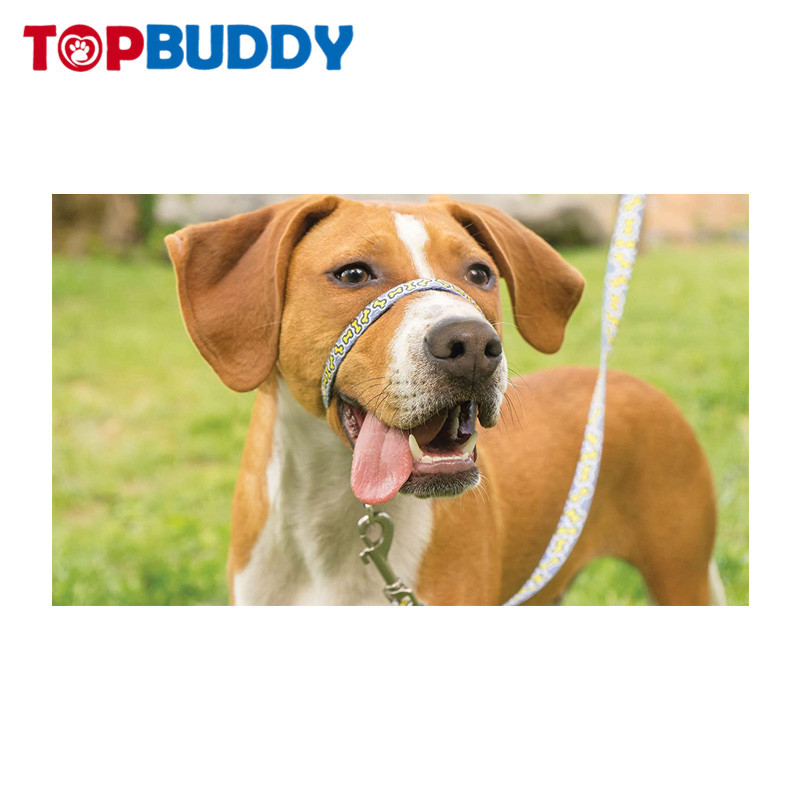 Hot products on Amazon. Muzzle and leash for pet dogs when going out. It can be used as a muzzle or a neck collar with a pulling leash.